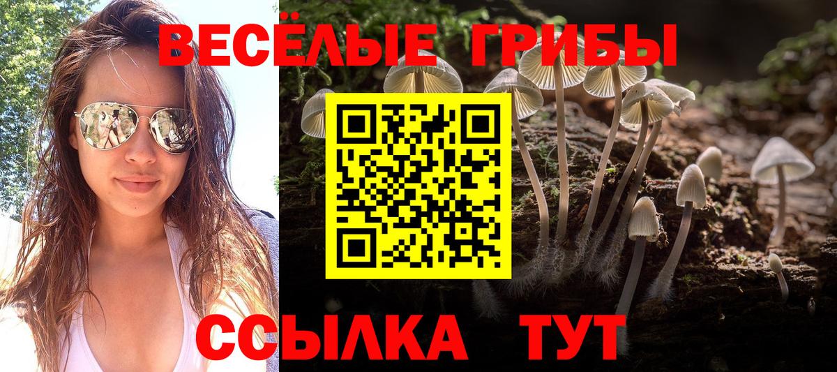 Псилоцибиновые грибы MAGIC MUSHROOMS  Вход с VPN  Зеленокумск  Галлюциногенные грибы MAGIC MUSHROOMS 