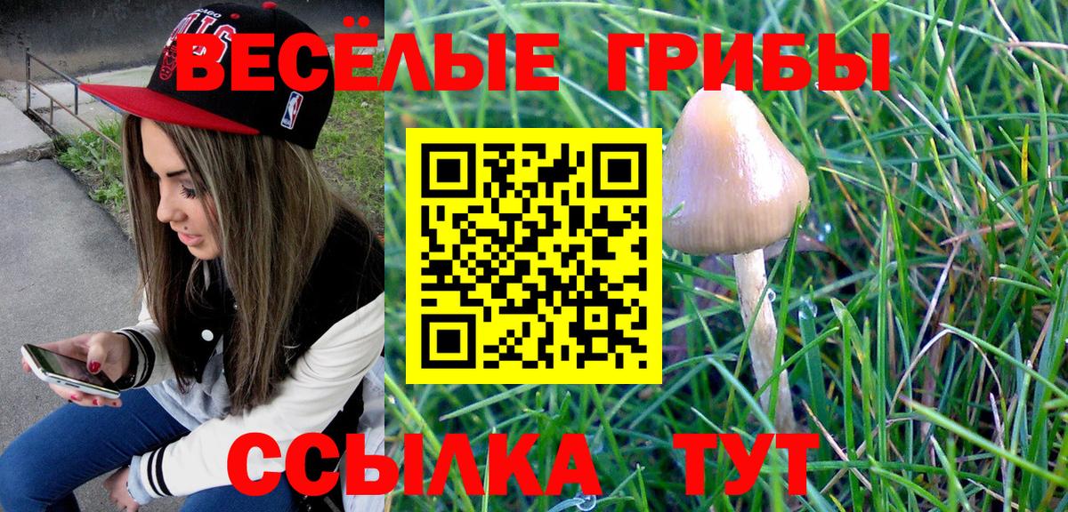 Галлюциногенные грибы GOLDEN TEACHER Зеленокумск