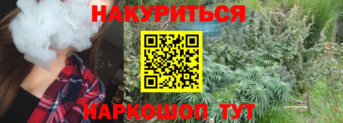Зеленокумск  Конопля тримм  Бошки Шишки семена  Вход с VPN 